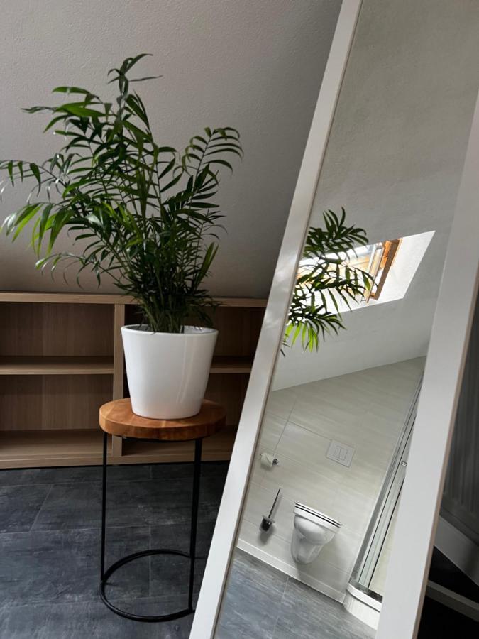 Stay!Apart Gieckau Naumburg (Saale) Exterior foto